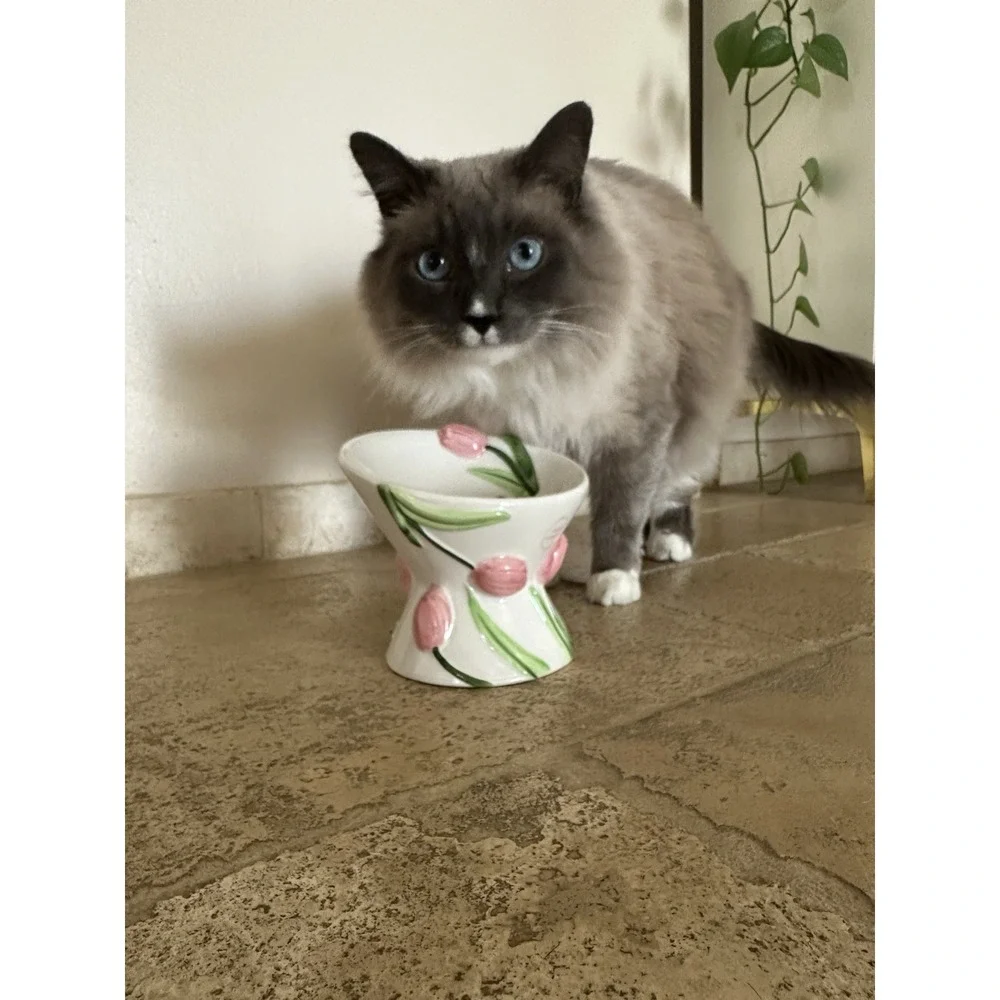 Mellow & Mod Cat Drinking Water Tall Bowl 